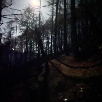 鳳凰山・地蔵岳・観音岳・薬師岳 あまりにも月が明るいのでヘッデン消してお月様山行🌕(#´ᗜ`#) 足元意識しながら静かに歩く練習になる🎶