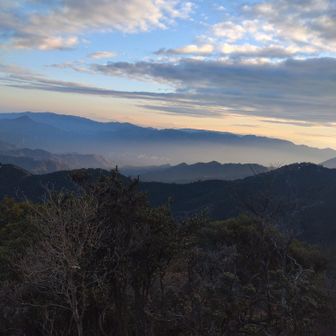 雲海みたいに、なってます。