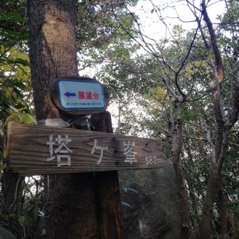 塔ヶ峯山頂。気が付かずにスルーしたので、また戻って標を撮った次第。