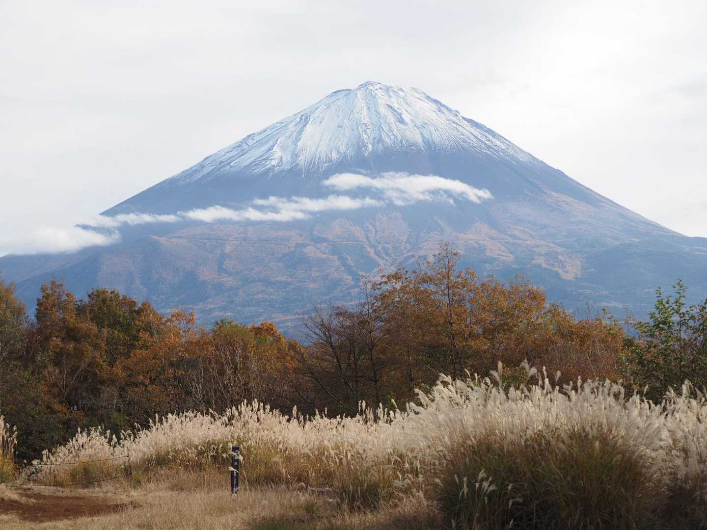 足和田山往復 | 見上げるほど間近にそびえる富士山。眼下に広がる神秘の樹海の写真