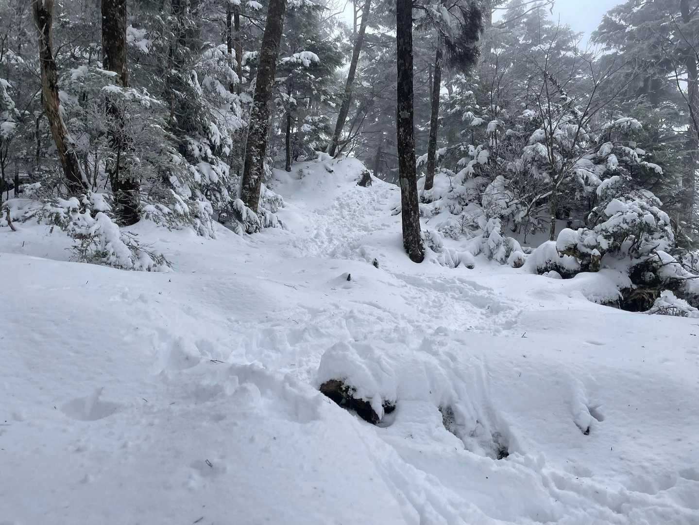 ビクトリーロード。
雪はたっぷりで楽しいはずやのに足取りは重い。