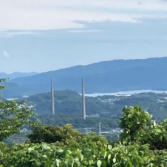 旧日本軍の針尾電波塔(1本は木に隠れてる)