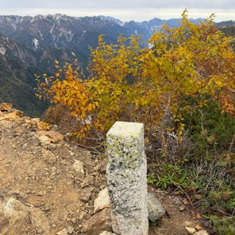 山頂標識すらない。本当に百高山なのか…‥?