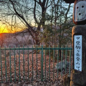 日の出🌅を迎えたばかりの登山口から出発💡