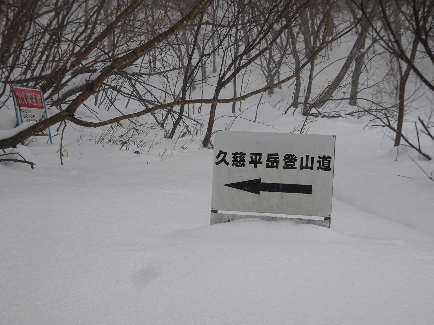 道路を挟んでここからまた登ります。