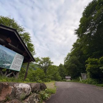 奥におトイレあり
人によっては入るのに勇気要るかも(笑)