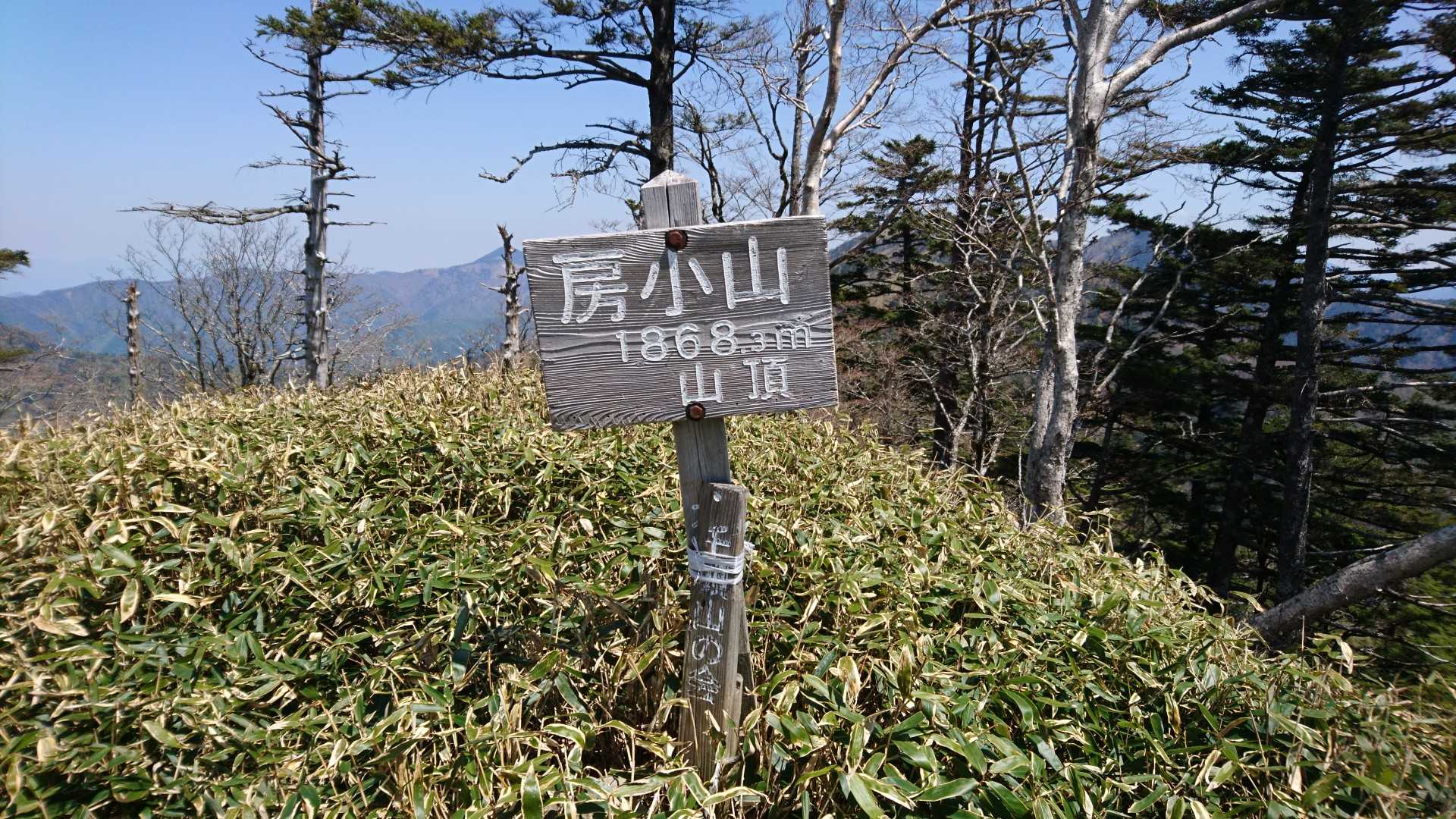 先月に続き房小山ゲット！