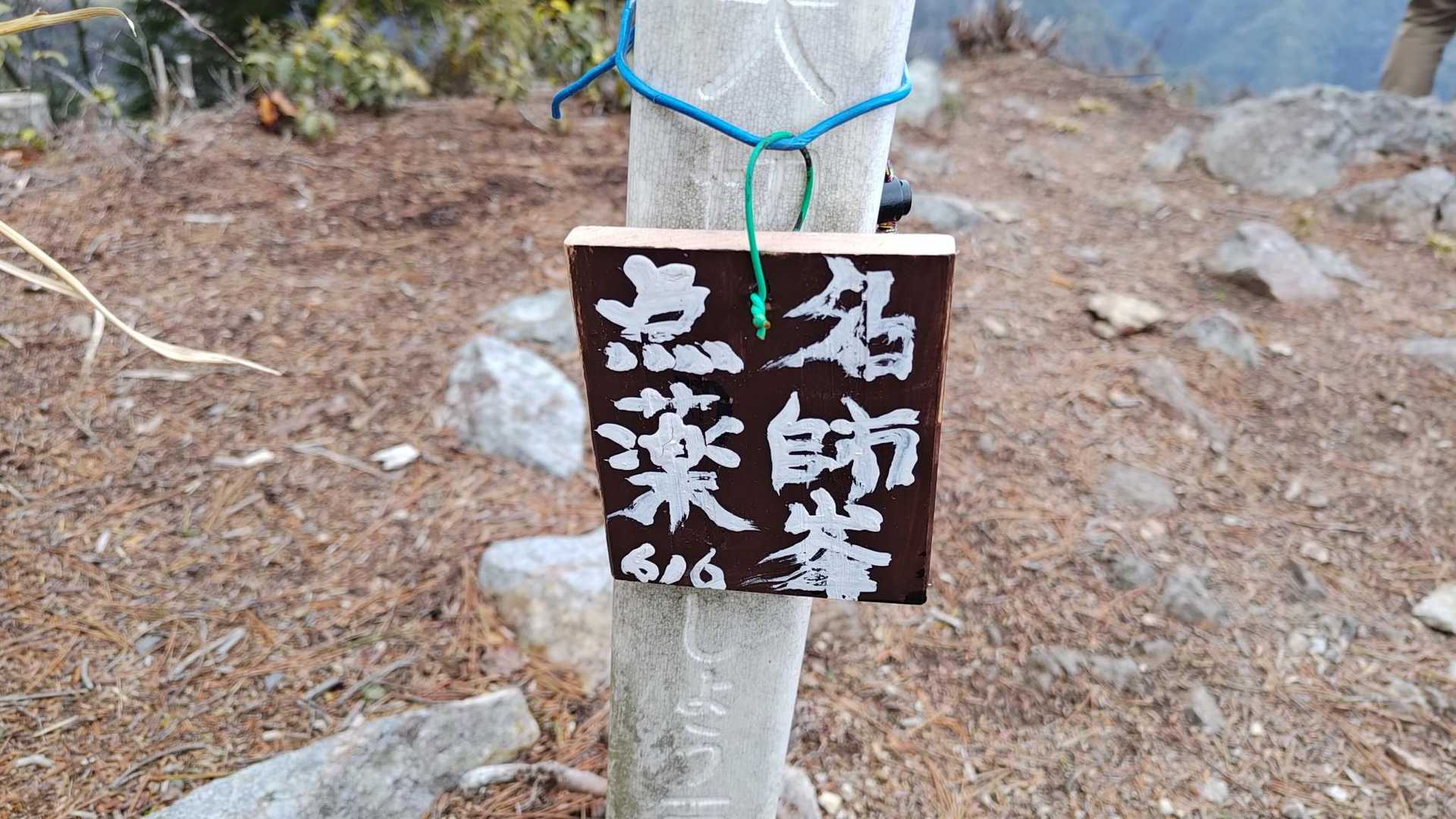 七種薬師ピーク！
点名薬師峯って書いてありました。