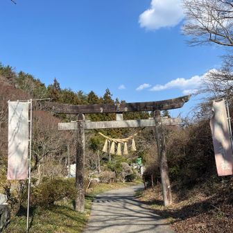 お疲れさまでした。
今日はカモシカの親子にも遭遇しました。山の神様みたいな雰囲気。
前回の鹿狼山の時も会えました(^^)
