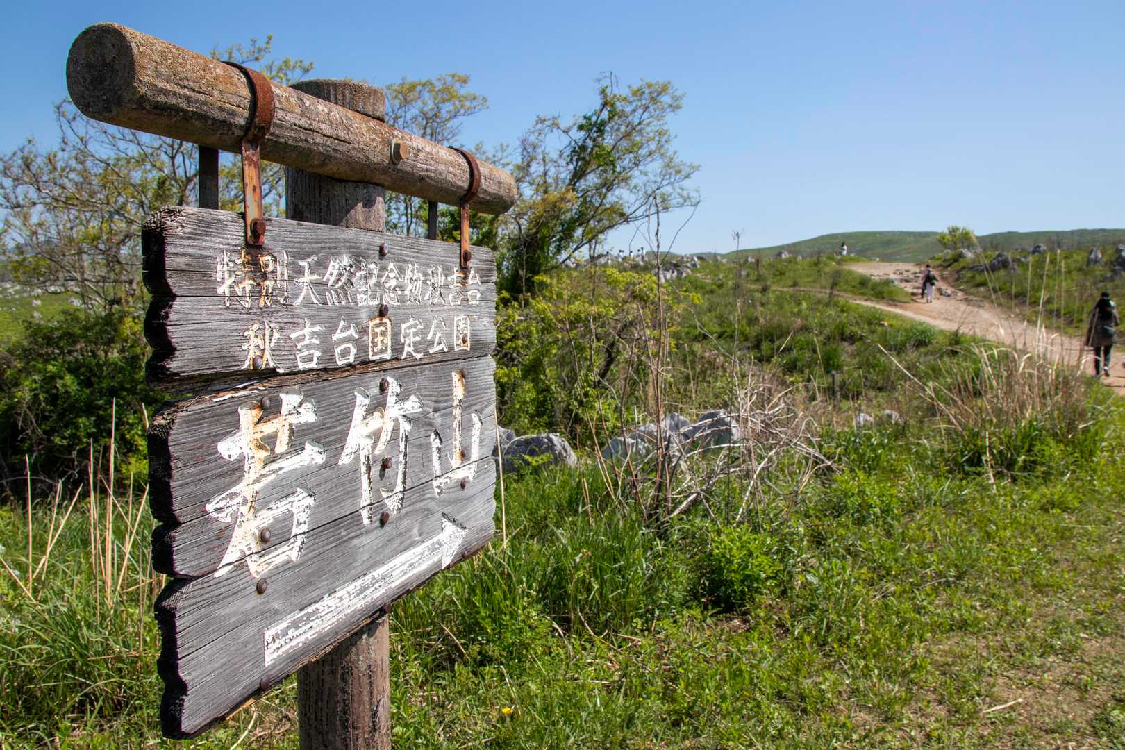 少し散策してみようとなり、若竹山なる看板を発見。