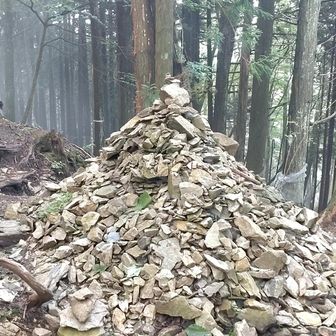 登山道もモヤモヤ💭