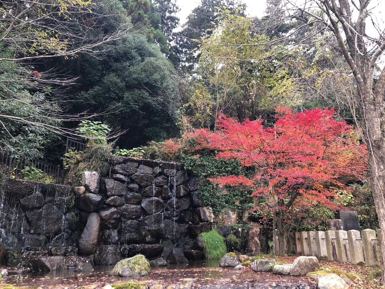 村国山 往復コースの写真