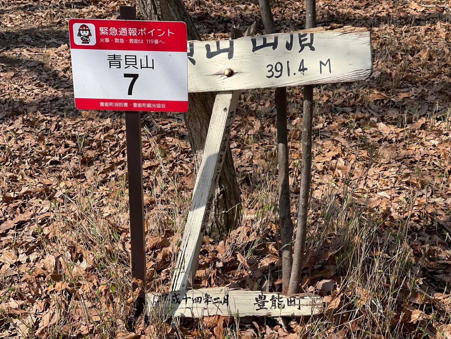 山頂到着〜
