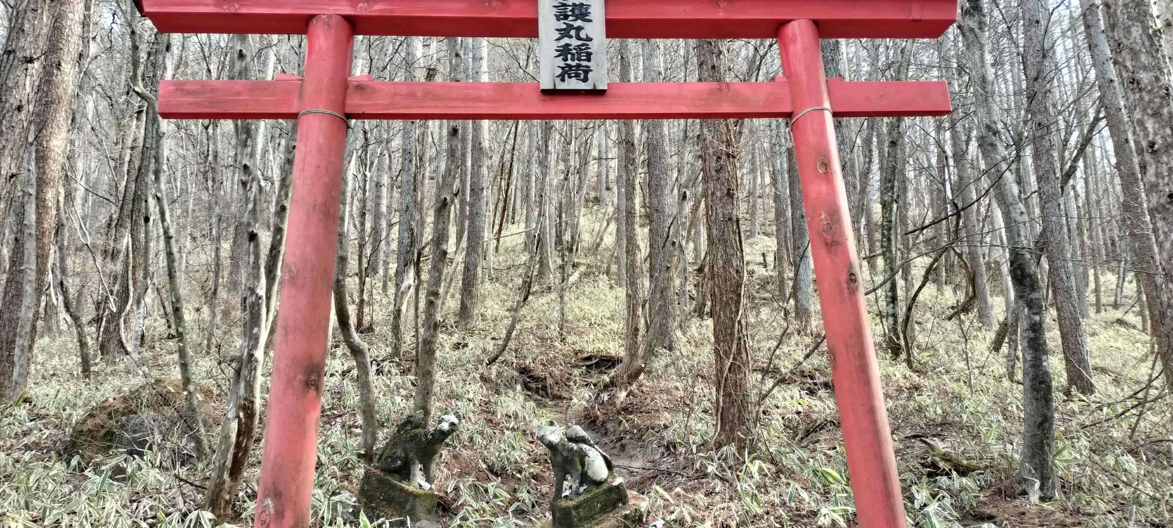 烏帽子ヶ岳 往復コースの写真