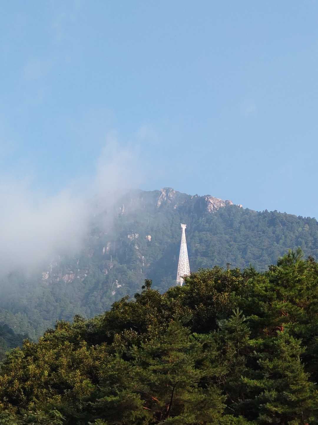 中登山口-武平峠-武平トンネル東登山口 周回コースの写真