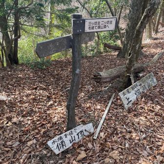 水場ルートと坊主尾根ルートの分岐
ここを目的にきたので坊主尾根から頑張って登ります