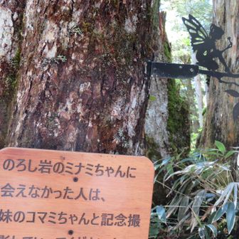 コマミちゃんも撮る
2年前には多分なかった