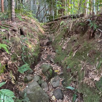 綺麗にされた登山道。
たく8さん達のお陰ですね。