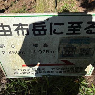 由布岳に至るって良いね👍