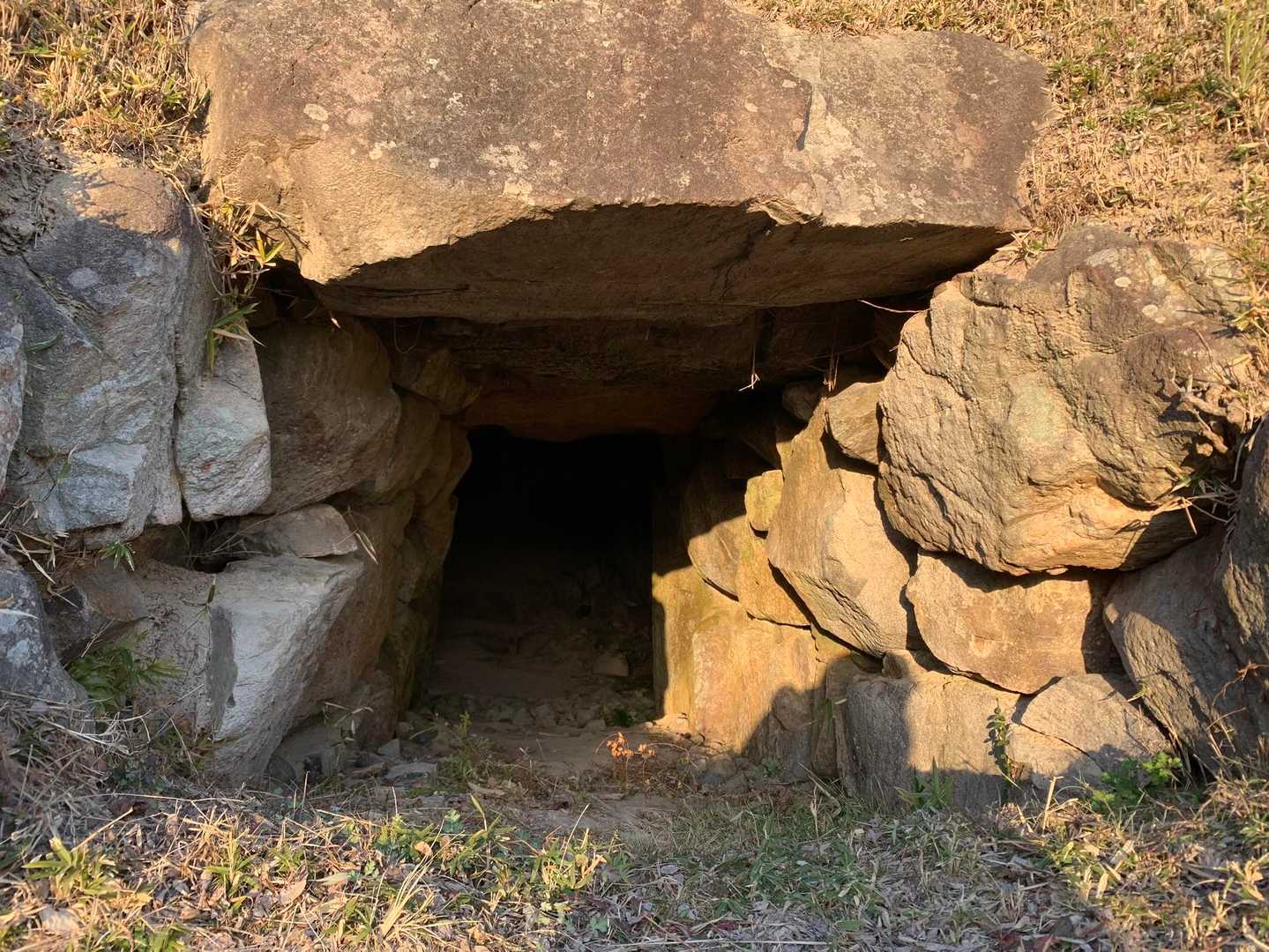 向山登山口-向山 往復コースの写真