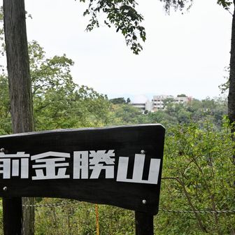 前金勝山。小川げんきプラザの建物が見えます