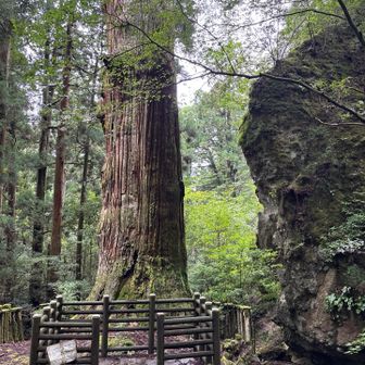 大岩🪨と
大岩の左側奥⬅️からも登ってきます
正面のルートからですね