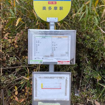 水根バス停に到着。奥多摩湖方面から来たバスには登山客は誰も乗っていませんでした。観光客らしき乗客が10人ほどで空いていました。