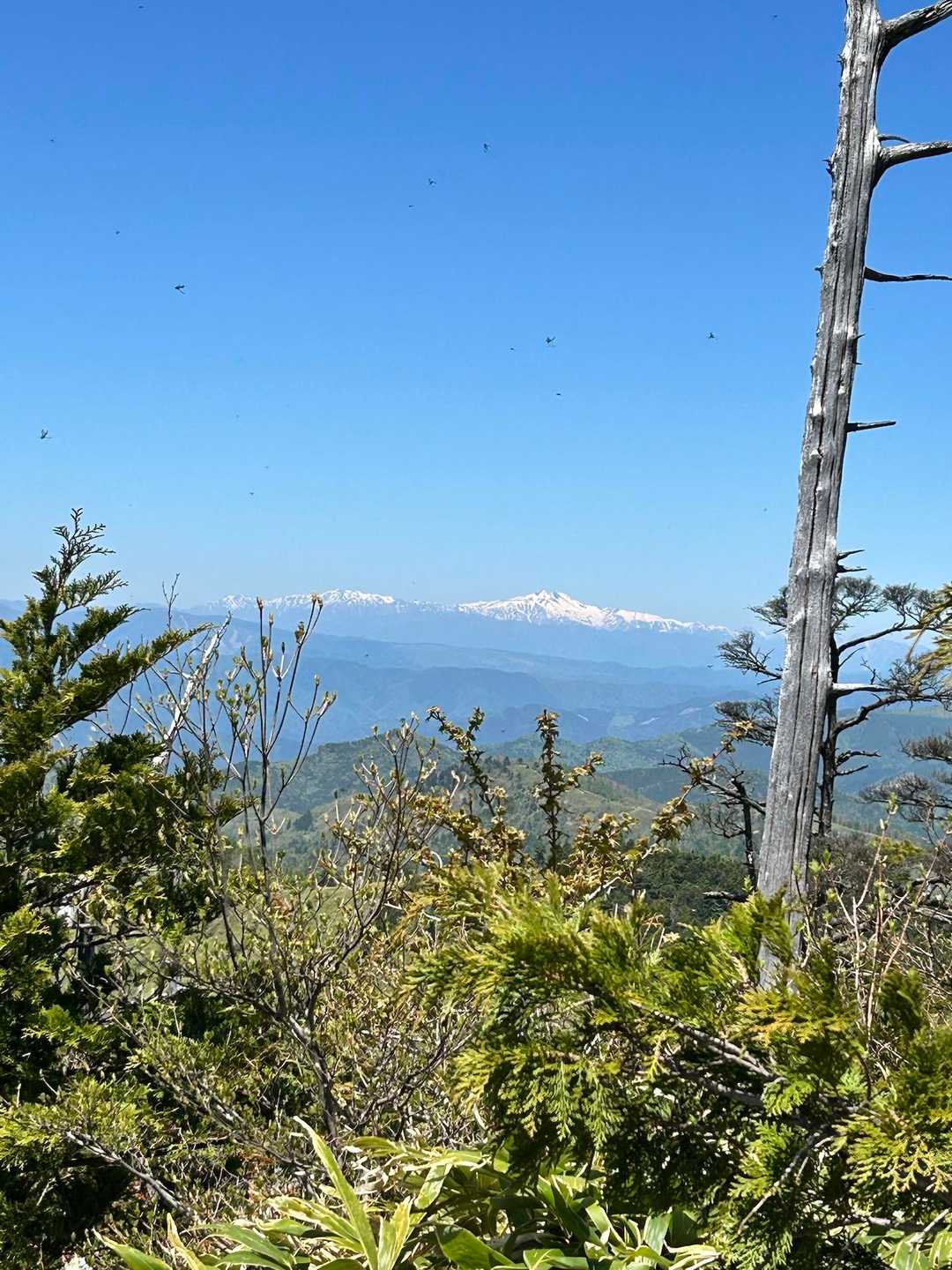 箱岩山山頂より、白山