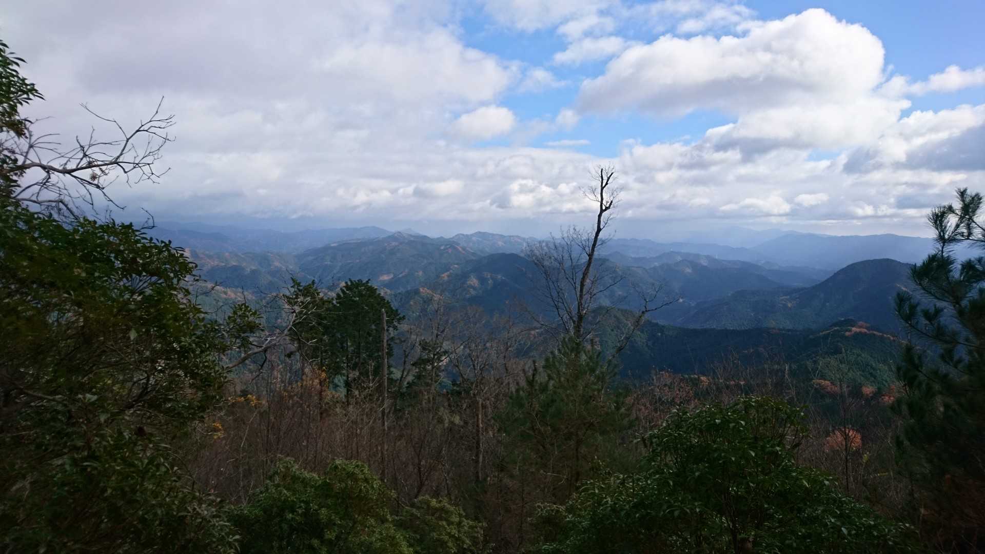 白樫山、東側少し開けてました