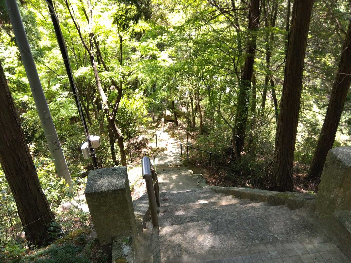 石段を降りよう