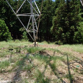 冷川峠への分岐がある筈の鉄塔地点です。
先週は気付かなかったんですが、下の方をよく見ると道がありそうにも思えました。
いや、今日は行きません。