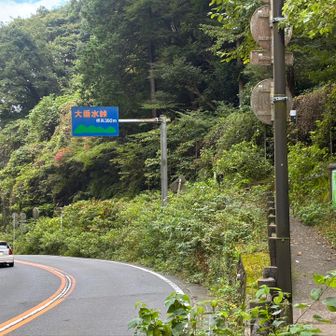 右のとこね