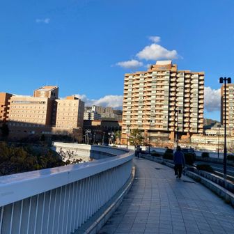 来ましたよ〜😅