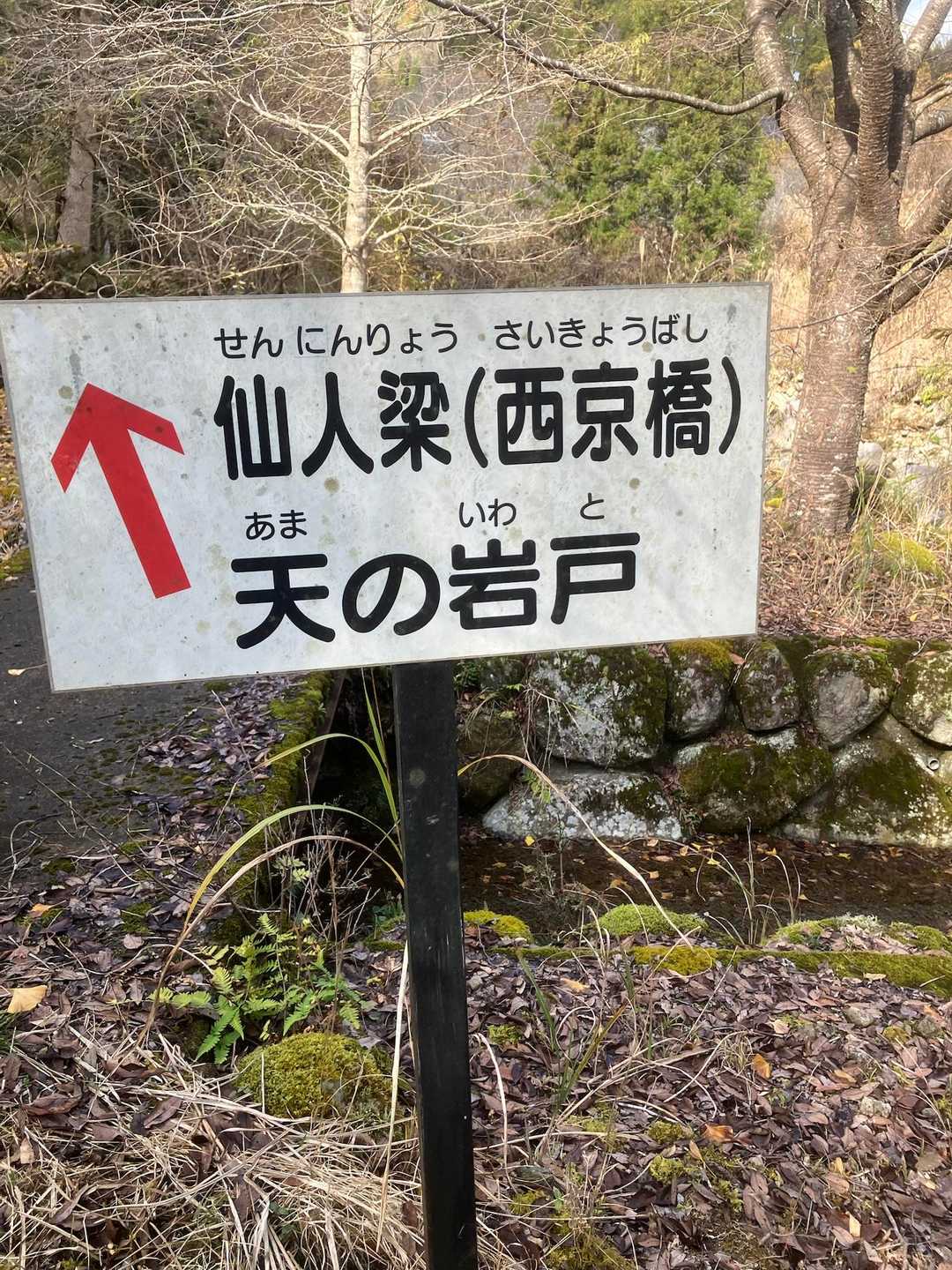 中摩殿畑山 往復コースの写真