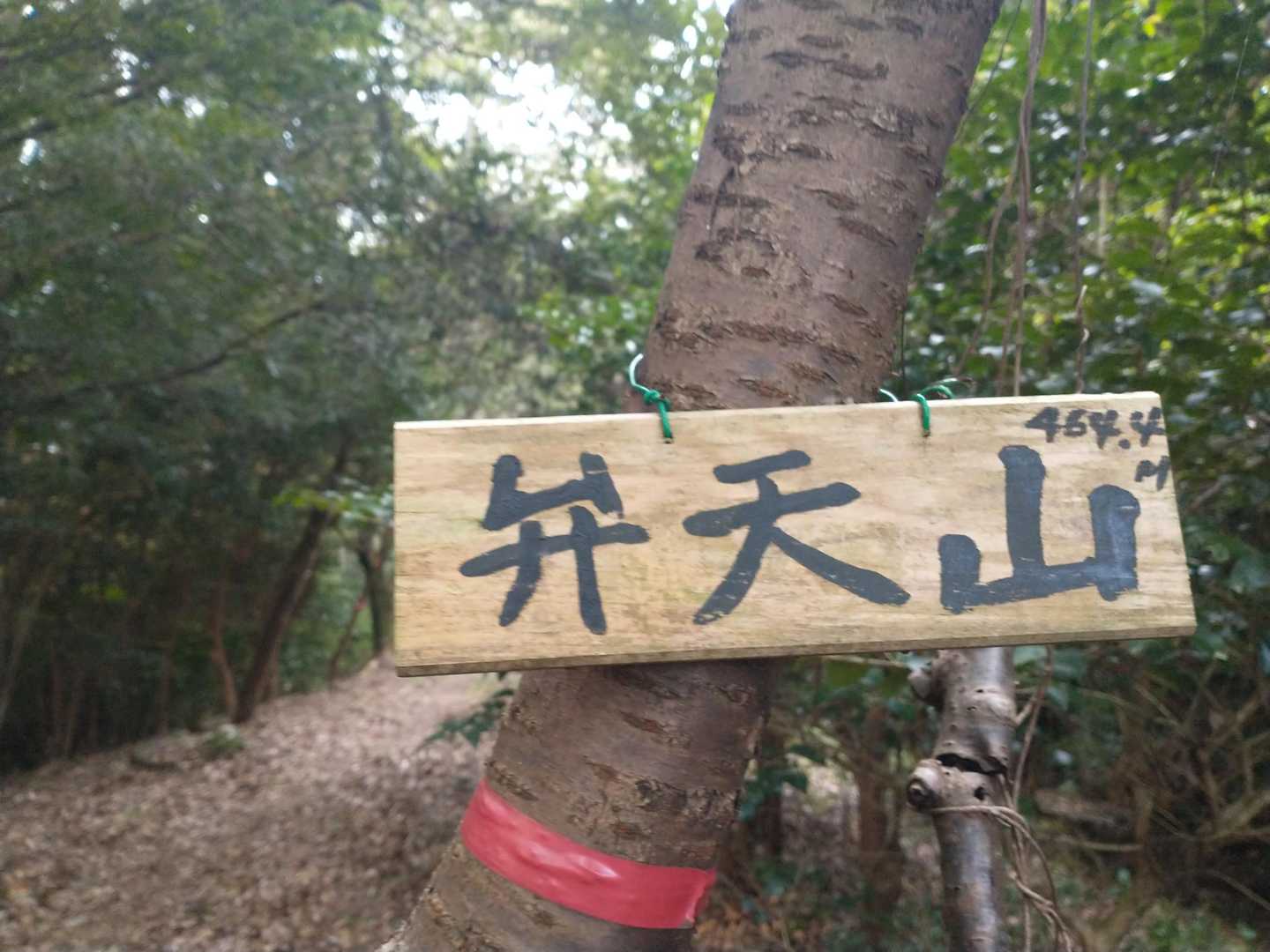 はい！弁天山▲
ドンドン行けます♪