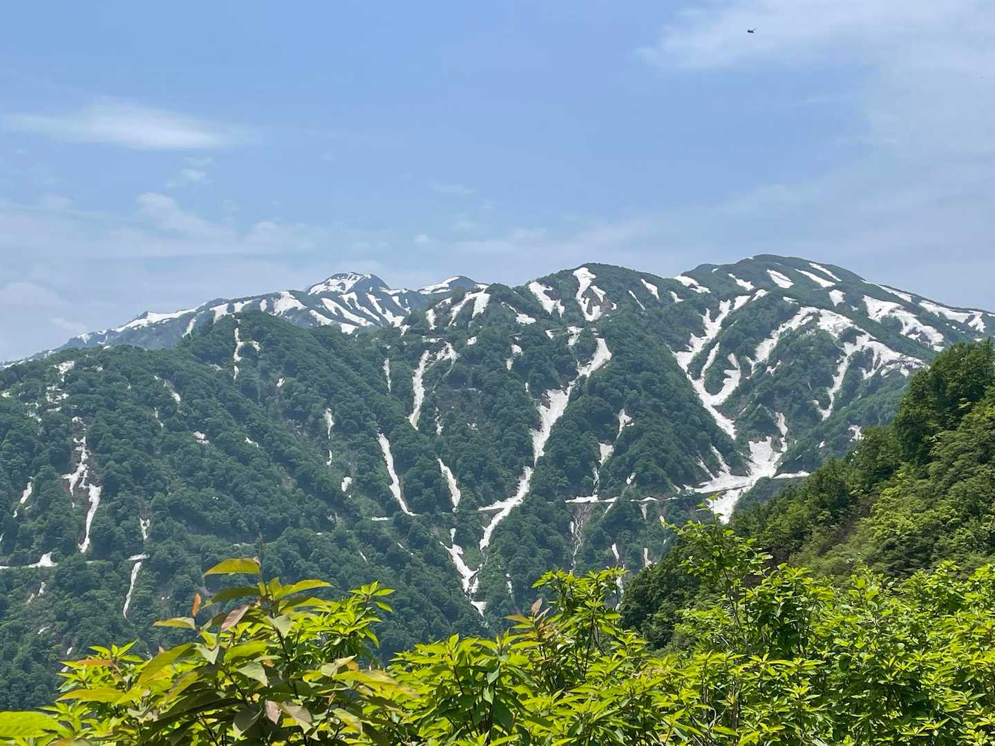 僧ヶ岳方面