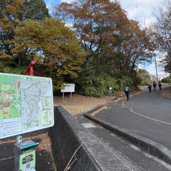 ココが獅子ヶ鼻公園の駐車場🅿️