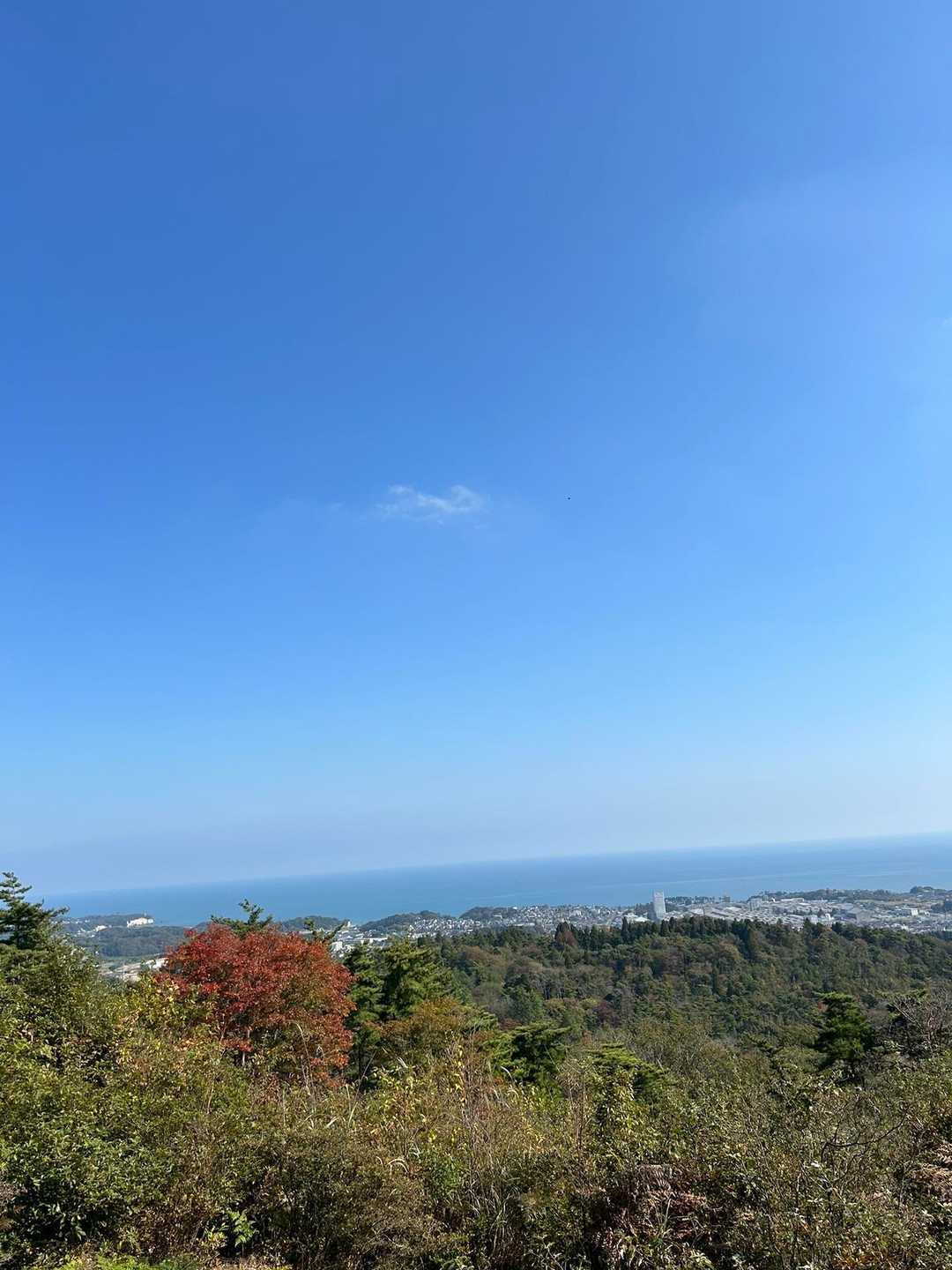北展望台からの眺め✨
ここに来るとホッとします😊
