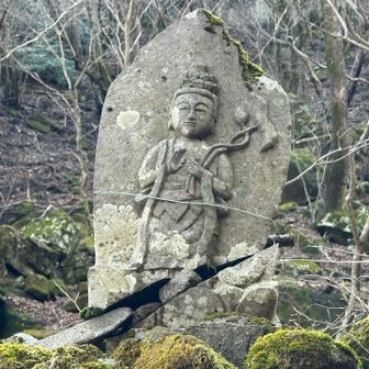 🙏
ここから、単独行動で先を急ぐ下山なり…🙇‍♀️