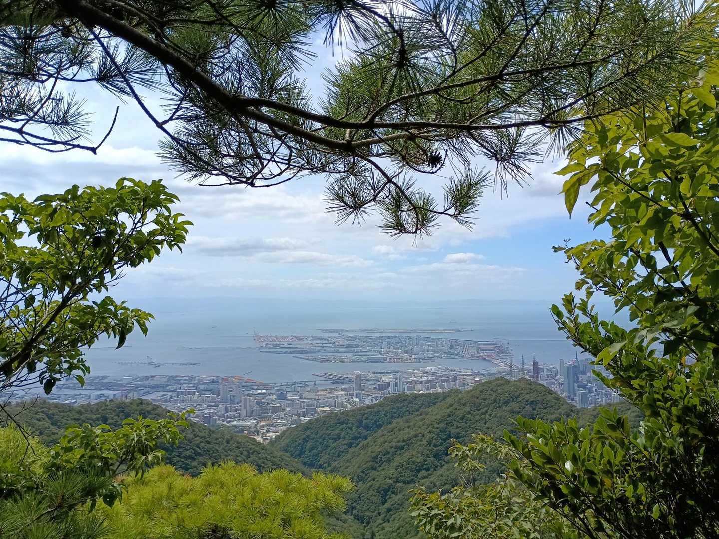 イノシシのあった展望地より