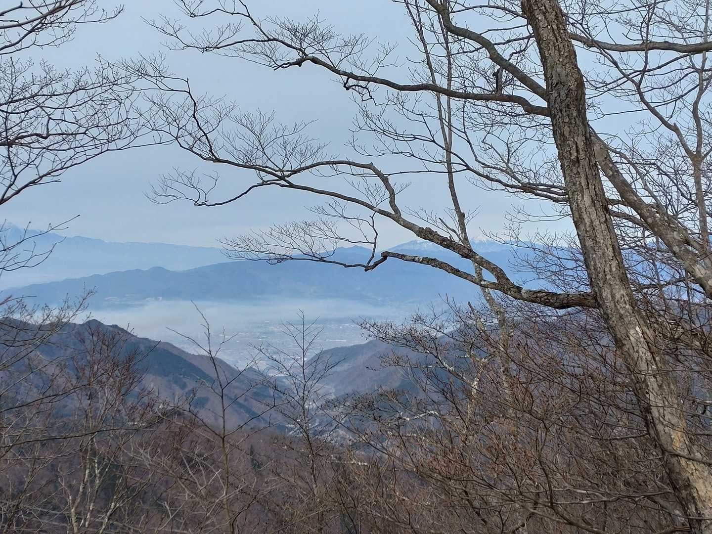 ここからの街の感じが幻想的だった