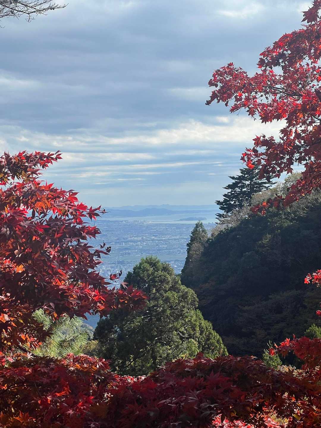 大山ケーブルバス停-大山寺-頂上登山口-大山-大山ケーブル 縦走コースの写真
