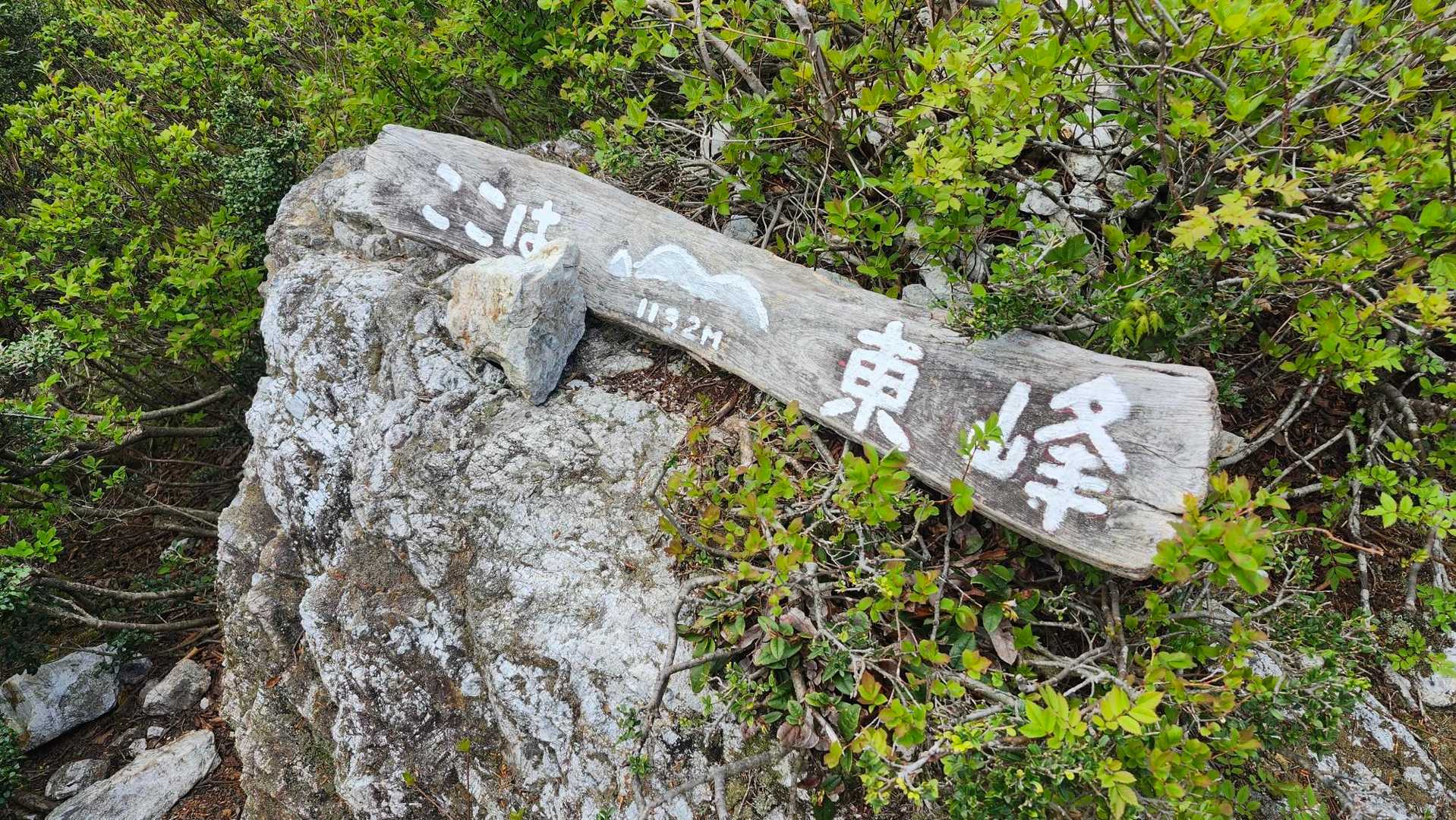 横山岳東峰⛰️
双耳峰やったんですね