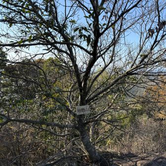 １０ピーク目
地徳山