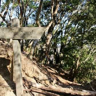 キター！矢草ノ頭。梅ノ木ルートとの分岐。

ヤバい。なにこの通らさせたくないオーラは🤣
標識の右下を左斜めに行きます♫どういうこと？！
