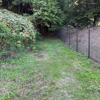 お稲荷さんこっちから登る　　完全後ろ側