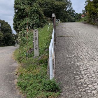 ちょっと戸室山へ
