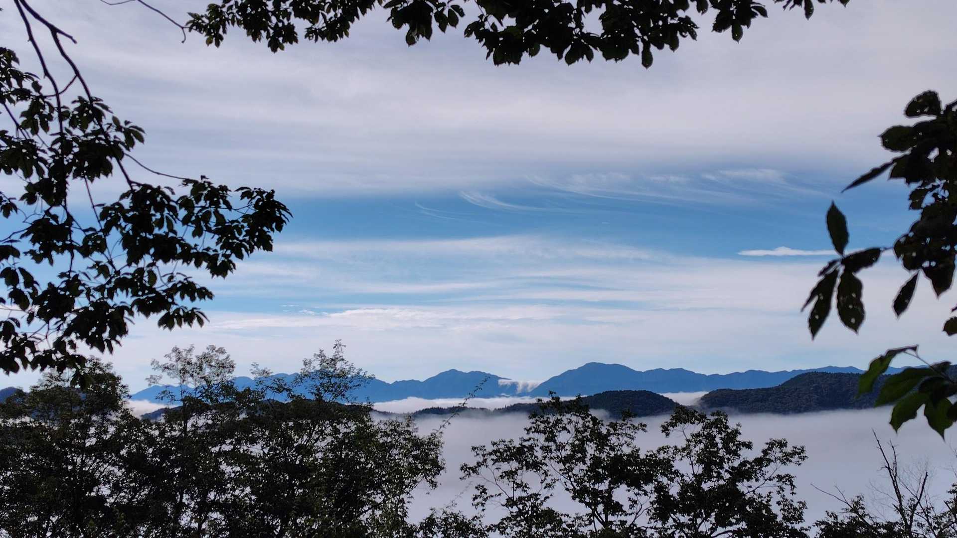 丹沢方面の大室山と檜洞丸も見えていました👀