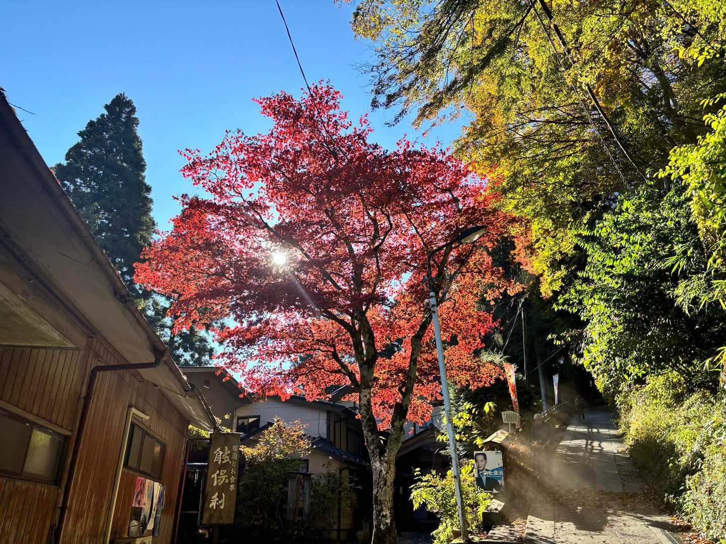 紅葉もキレイです🍁
