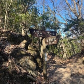 お花摘みポイント